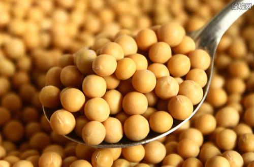 大豆分离蛋白的组成与功能性质